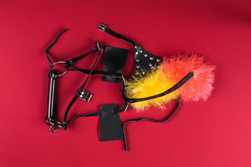 BDSM fetish toys