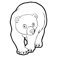 Bear cartoon illustration isolated on white background for children color book