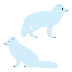 Vector illustration of standing and sitting cute arctic foxes isolated on white background
