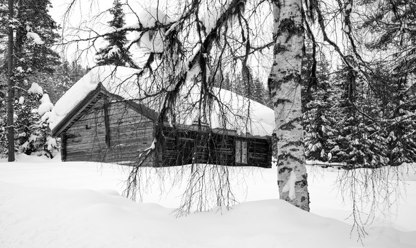Winter in Schweden. Der dunkle Wald von H&auml;lsingland