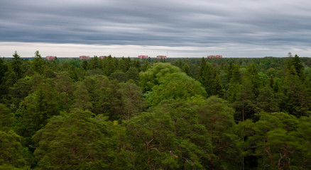 Fototapeta na wymiar Die Landschaft von Narva Joesuu