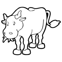 Cow cartoon illustration isolated on white background for children color book