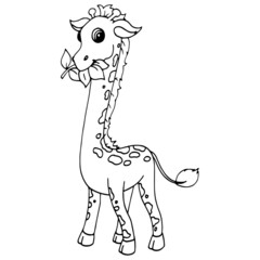 Giraffe cartoon illustration isolated on white background for children color book