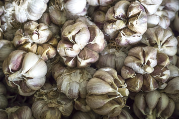 Fresh garlic on white background. Garlic cloves. Peeled garlic bulbs on jute.