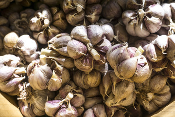 Fresh garlic on white background. Garlic cloves. Peeled garlic bulbs on jute.