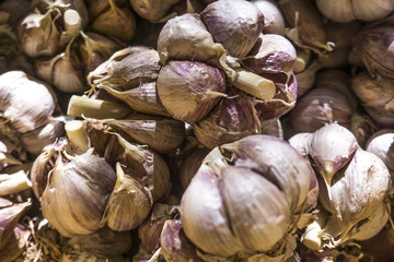 Fresh garlic on white background. Garlic cloves. Peeled garlic bulbs on jute.