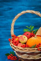 Autumnal still life with pumpkins, apples and rowanberry