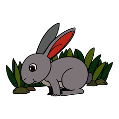 Rabbit cartoon illustration isolated on white background for children color book