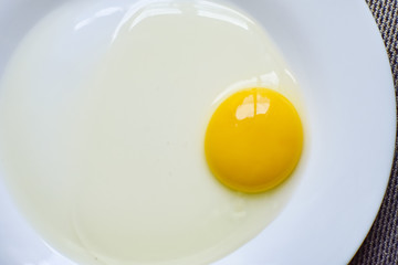 egg on plate