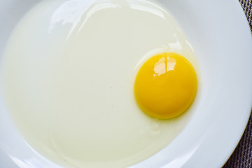 egg