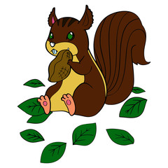 Squirrel cartoon illustration isolated on white background for children color book