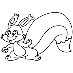 Squirrel cartoon illustration isolated on white background for children color book