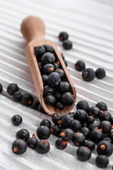 dried juniper berries on a white background