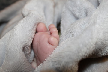 Pieds de bébé