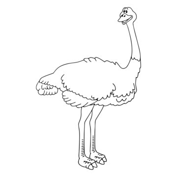 recommend clip art: Ostrich cartoon illustration isolated on white background for children color book