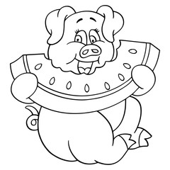 Pig cartoon illustration isolated on white background for children color book