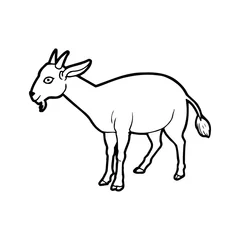 Foto op Canvas Goat cartoon illustration isolated on white background for children color book © Huy
