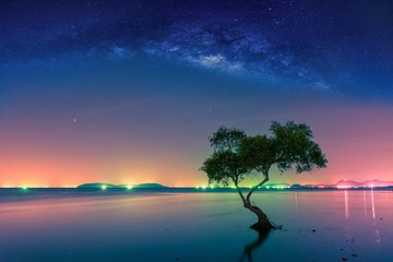 Landscape with Milky way galaxy. Night sky with stars and silhouette mangrove tree in sea. Long...