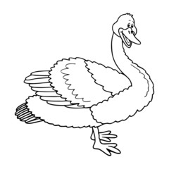 Goose cartoon illustration isolated on white background for children color book