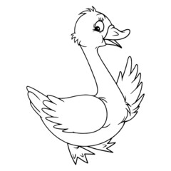 Duck cartoon illustration isolated on white background for children color book