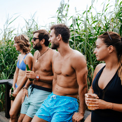 Friends Enjoying Summer Holiday Party