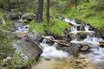 Arroyo fluye entre rocas y árboles en la ladera de una montaña