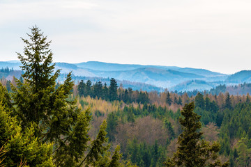 European Forest in scenic countryside. Beautiful aerial view of rolling hills landscape and tops of green spruce trees.