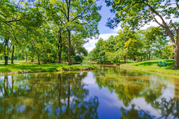 Fototapeta na wymiar Green tree in a beautiful park under blue sky with reflection in water