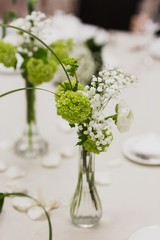 Colorful isolated bridal bouquet for a wedding