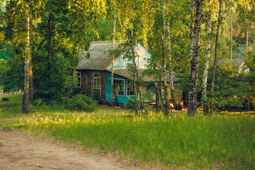 small rural house in a forest