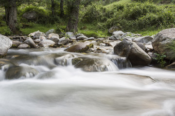 Un arroyo fluye entre árboles, rocas y cascadas en la ladera de una montaña