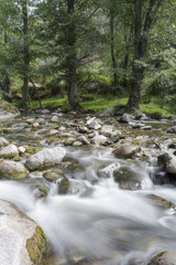 Fototapeta na wymiar Un arroyo fluye entre árboles, rocas y cascadas en la ladera de una montaña