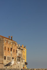 Fototapeta na wymiar Seagull in Rovinj town in Croatia