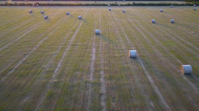 Low pass drone video of a harvested wheat field with crop collected in ball format at sunset