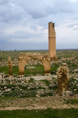 Oldest University in the World, Harran University