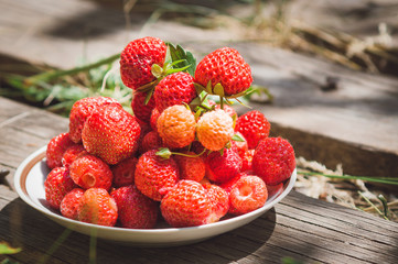 Red sweet strawberries lie on a plate.
