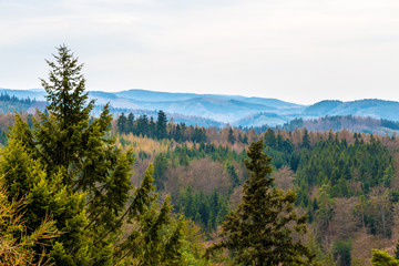 European Forest in scenic countryside. Beautiful aerial view of rolling hills landscape and tops of green spruce trees.