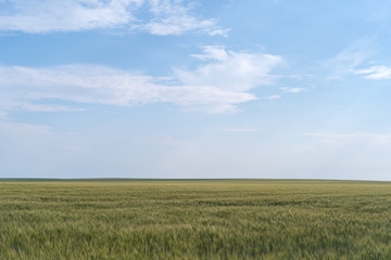 Agricultural landscape in Podolia region of Ukraine
