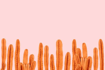 Tuinposter Cactus Oranje cactus op roze achtergrond