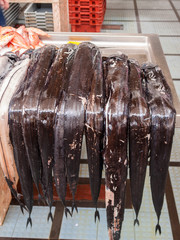 Fish market in Funchal, Madeira