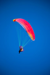 Paragliders
