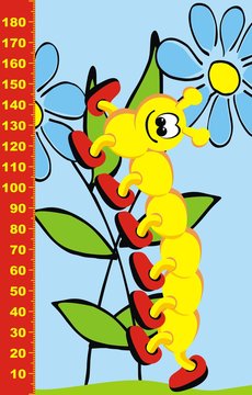 Centipede, height measure, vector illustration, eps