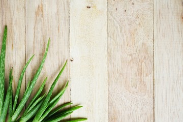 Aloe vera on wooden table background, copy space, skin care concept