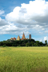 Fototapeta na wymiar View Wat Thum Sua and paddy field on blue sky in Thailand