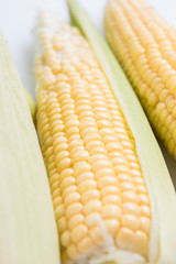 Corn Cob. Fresh peeled cobs of corn