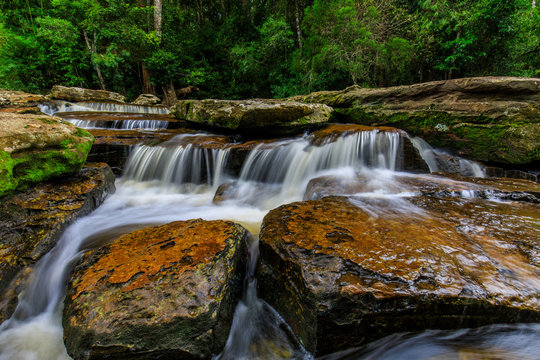 Beautiful stream in the rainforest. © Nakornthai