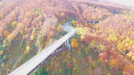 絶景、紅葉城ヶ倉大橋