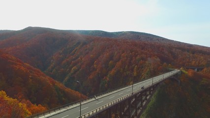 絶景、紅葉城ヶ倉大橋