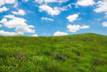 Green hills and empty road