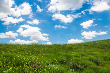 Green hills and empty road